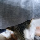 소우리돈우리 이미지