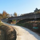 추산농로 이미지