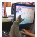 애경 동물병원 이미지