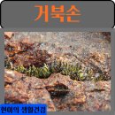 현이식품 이미지