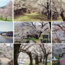 거창-북상-6 이미지