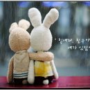 해안선 이미지