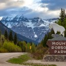 제스퍼(JASPER) 이미지