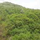 영원을위하여 이미지