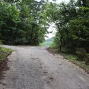 _나루터로2-10 이미지