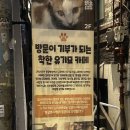 집사의하루 연남점 이미지