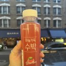 런던소마 이미지