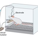 서초동 1305-7 이미지