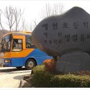 세천초등학교 이미지