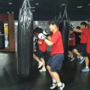 SG 복싱 GYM 이미지