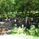 흙과나무의파도소리 이미지