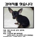 남현동-9 이미지