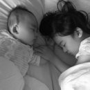 대상약품 이미지