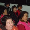 금산수삼센타 이미지