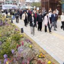 힐링정원 이미지