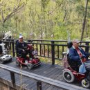 관악산 무장애숲길 이미지