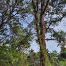 한가람초교(병설) 이미지