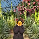 별난만두양덕메트로점 이미지