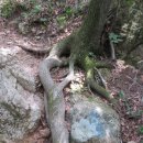 화북초교 입석분교 이미지