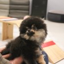 몽타운 이미지