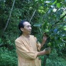 봉옥농장 이미지