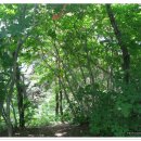 모곡초등학교 이미지