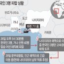 해적참치 이미지