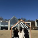 [여주] 애견동반가능한 베이커리카페 ‘무이숲’