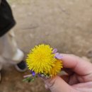 작은숲  어린이집 이미지