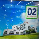 호식이빵 | 술생술사 (호식이/넛셰드/키요시/심야식당정화/빼빼로/치즈볼)