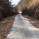 외씨버선길(장계향디미방길) 이미지