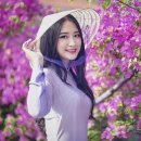 전북국제행정사사무소 이미지