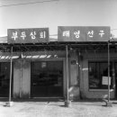 태영상회 이미지