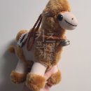 키즈프라임치과의원 이미지