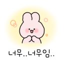 큰손해물손칼국수 이미지