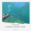 다이버들을 위한 다이브링 어플 프리다이빙, 괌 스쿠버다이빙 후기
