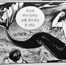 마가진