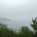 강릉임해자연휴양림 이미지