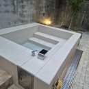 제주애단비 마주 이미지