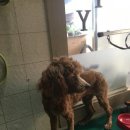 민병철동물병원 이미지