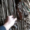 은기농장 이미지