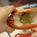 대게플러스 이미지