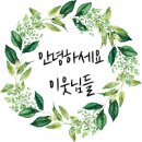 페르마타 풀빌라 이미지