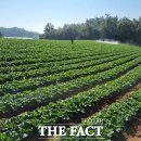 포전영농조합법인 이미지