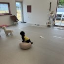 코지독하우스 이미지