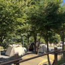 사과향기캠핑장 이미지