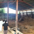 빛가람축산 이미지