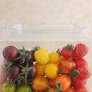 맛디아농장 이미지