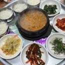 일조오리탕 이미지