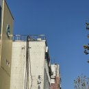 [사당/동작] 가성비 좋은 사당참치 사당역 점심 맛집 &#34;쿠라쿠라참치&#34; (+혼마구로 정식)